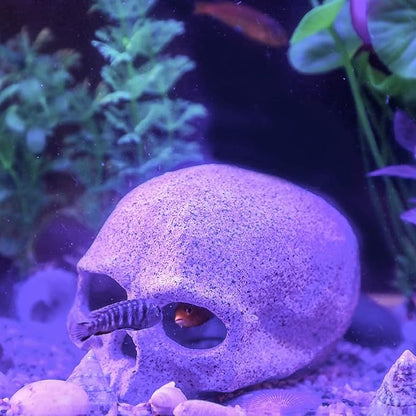 Skeleton Skull Tank Décor