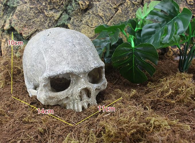 Skeleton Skull Tank Décor