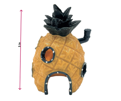 SpongeBob's Pineapple House